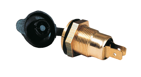 Socket | 2-pole | with cover