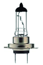 Bombilla | PX26d-H7 | 55Watt | 12V