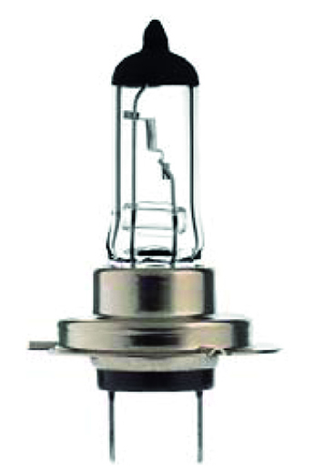Lampadina | PX26d-H7 | 70Watt | 24V