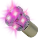 LED-Lampe | BA15S | 10-30V | rosa